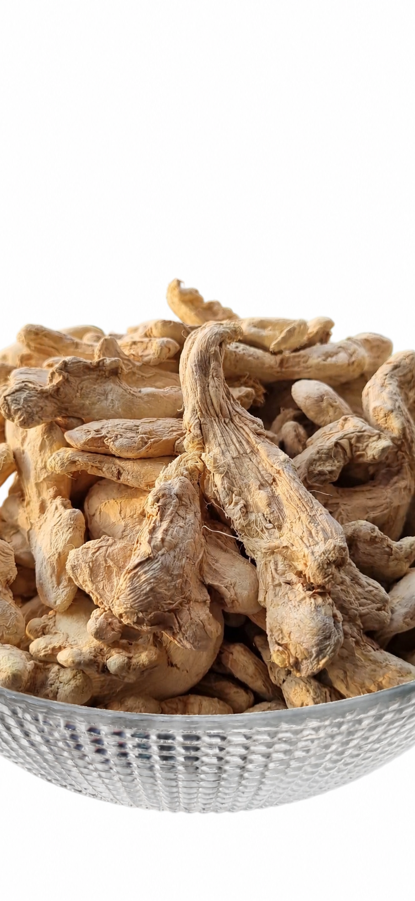 زنجبیل قلمی چینی